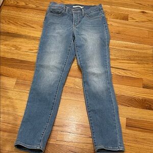 Levi Strauss & CO Classic Blue Women's Jeans